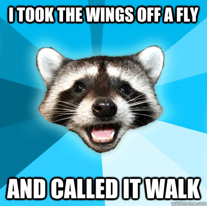 I TOOK THE WINGS OFF A FLY AND CALLED IT WALK - I TOOK THE WINGS OFF A FLY AND CALLED IT WALK  Lame Pun Coon