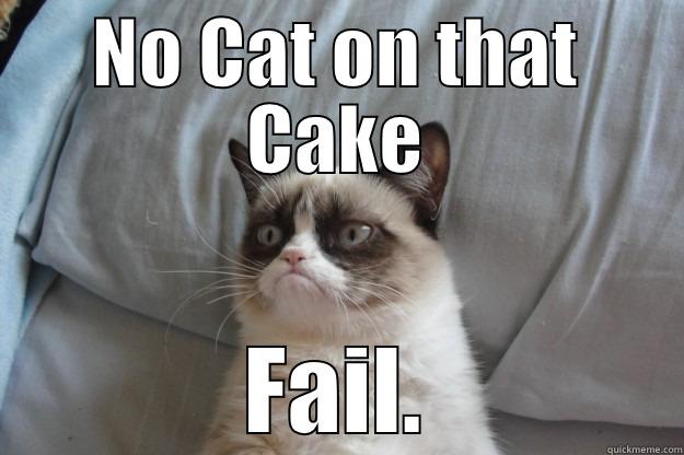 NO CAT ON THAT CAKE FAIL. Grumpy Cat