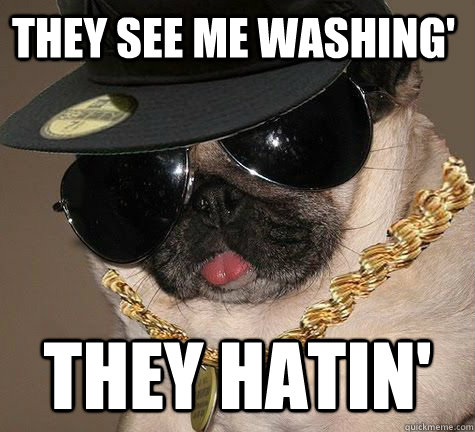 They see me washing' They hatin'  Gangster Pug