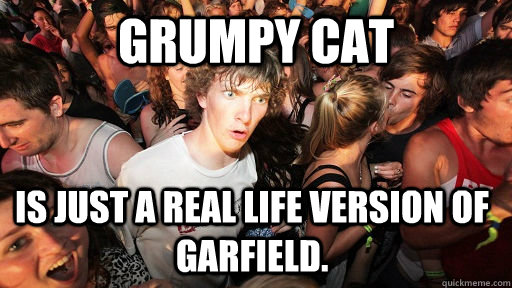 Grumpy cat is just a real life version of Garfield.   Sudden Clarity Clarence