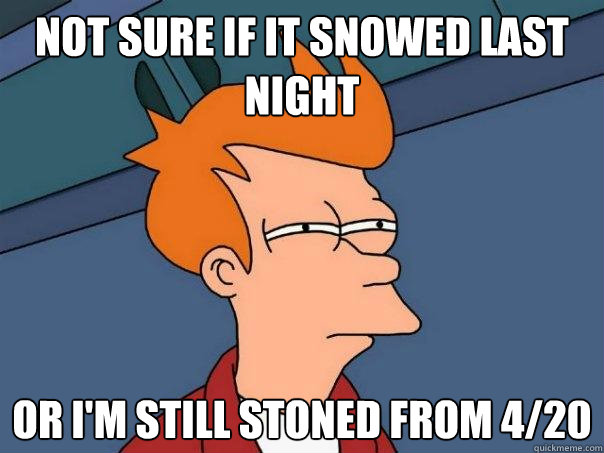 Not sure if it snowed last night Or I'm still stoned from 4/20  Futurama Fry