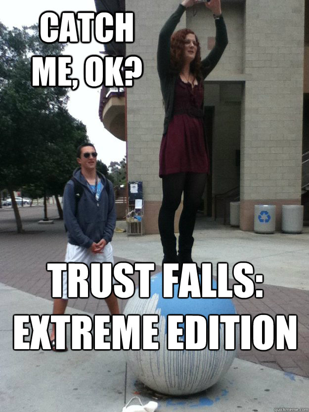 CATCH ME, ok? Trust Falls:
extreme edition  