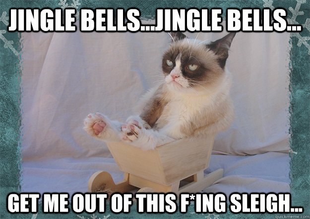 Jingle Bells...Jingle Bells... Get me out of this F*Ing Sleigh... - Jingle Bells...Jingle Bells... Get me out of this F*Ing Sleigh...  Misc