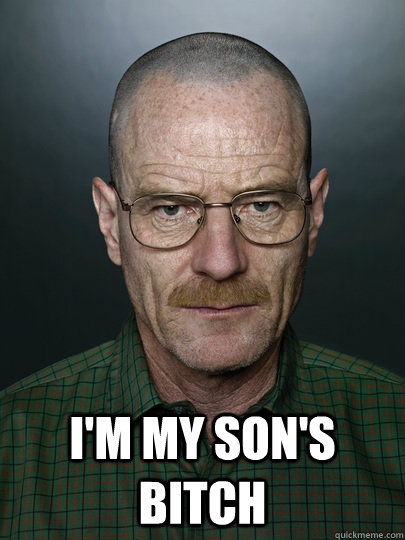  i'm my son's bitch   Advice Walter White