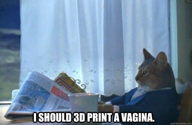 I should 3D print a vagina.  Sophisticated Cat