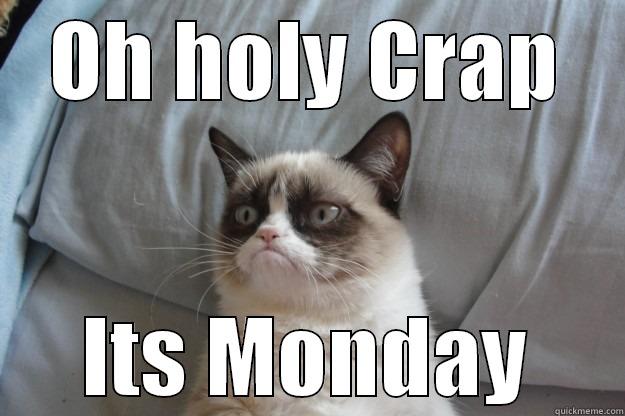 OH HOLY CRAP ITS MONDAY Grumpy Cat