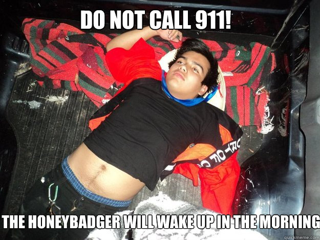 Do not call 911!  the honeybadger will wake up in the morning  