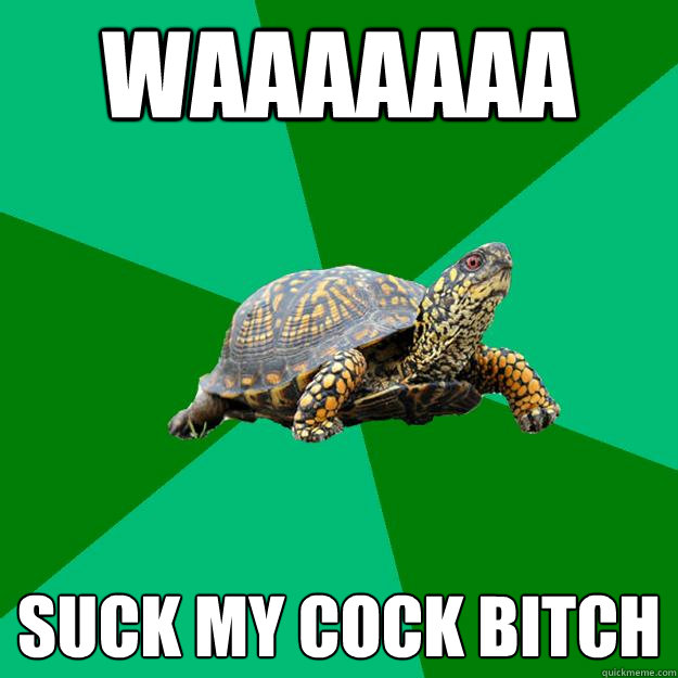 WAAAAAAA Suck My Cock Bitch - WAAAAAAA Suck My Cock Bitch  Torrenting Turtle