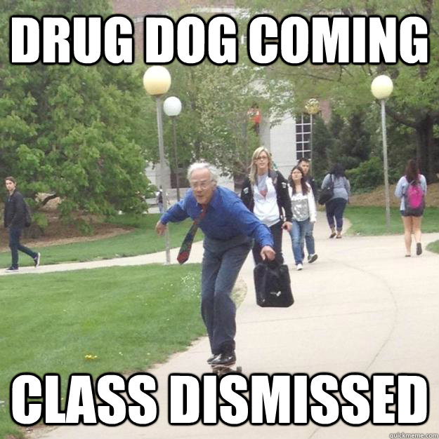 Drug dog coming class dismissed - Drug dog coming class dismissed  Skateboarding Professor