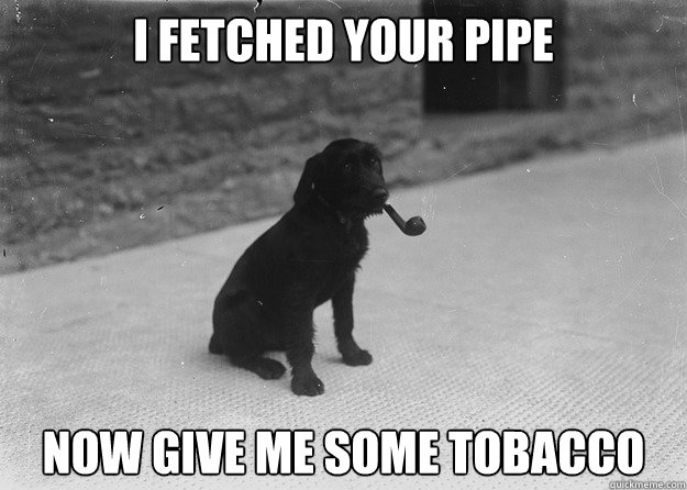 i fetched your pipe now give me some tobacco  Pipe Dog