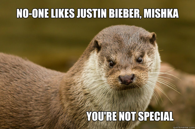 no-one likes justin bieber, mishka you're not special - no-one likes justin bieber, mishka you're not special  scowling otter