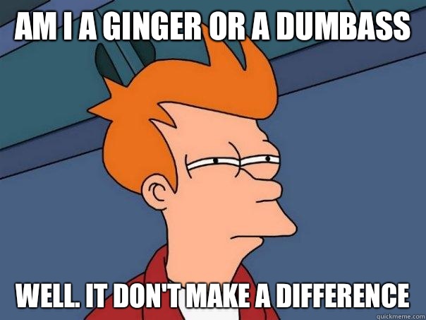 Am I a ginger or a dumbass Well. It don't make a difference  Futurama Fry