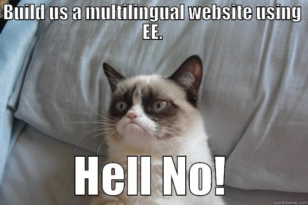 BUILD US A MULTILINGUAL WEBSITE USING EE. HELL NO! Grumpy Cat