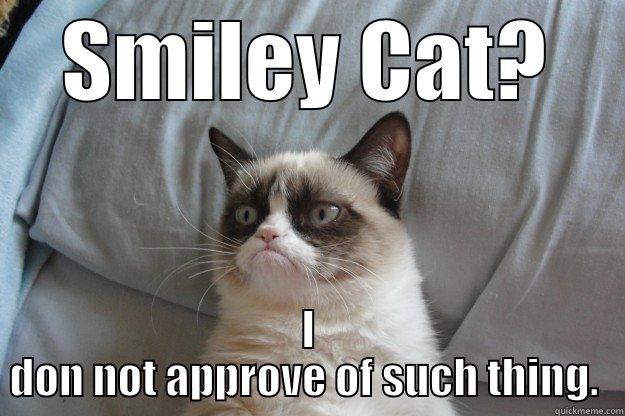 SMILEY CAT? I DON NOT APPROVE OF SUCH THING.  Grumpy Cat