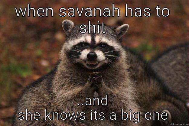 savanah banana - WHEN SAVANAH HAS TO SHIT ..AND SHE KNOWS ITS A BIG ONE Evil Plotting Raccoon