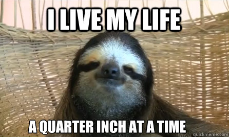 I live my life a quarter inch at a time - I live my life a quarter inch at a time  Chill sloth