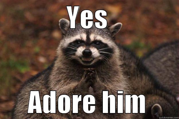 YES ADORE HIM Evil Plotting Raccoon