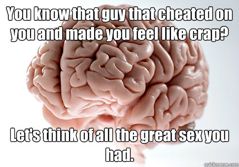 You know that guy that cheated on you and made you feel like crap?  Let's think of all the great sex you had.   Scumbag Brain