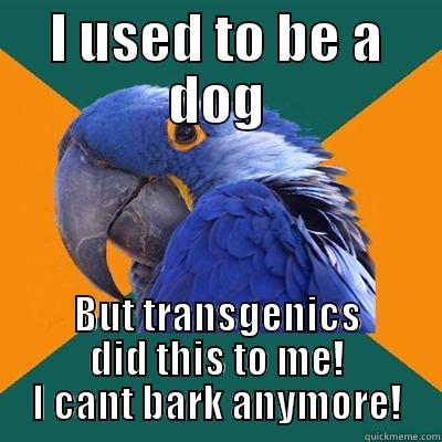 Transgenics messes with dogs - I USED TO BE A DOG BUT TRANSGENICS DID THIS TO ME! I CANT BARK ANYMORE! Paranoid Parrot