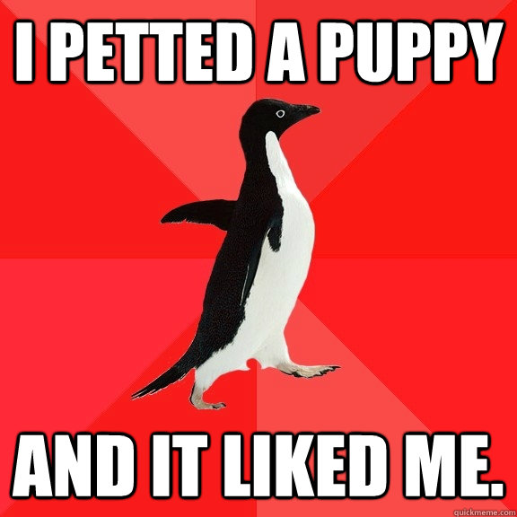 I petted a puppy and it liked me. - I petted a puppy and it liked me.  Socially Awesome Penguin