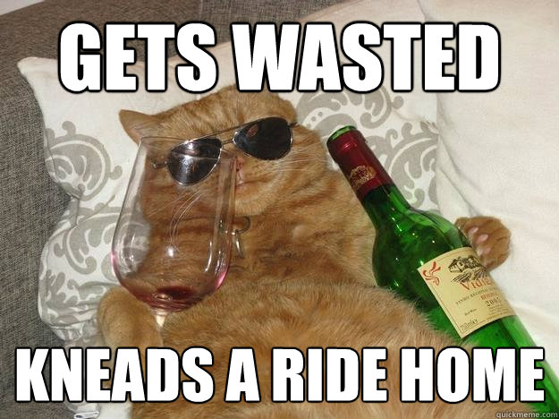Gets wasted kneads a ride home  Party Cat