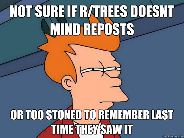 Not sure If r/trees doesnt mind reposts or too stoned to remember last time they saw it  Futurama Fry