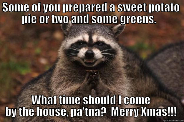 SOME OF YOU PREPARED A SWEET POTATO PIE OR TWO AND SOME GREENS.   WHAT TIME SHOULD I COME BY THE HOUSE, PA'TNA?  MERRY XMAS!!! Evil Plotting Raccoon