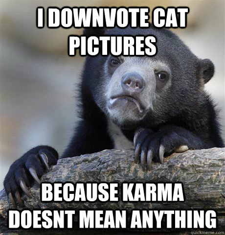 I downvote cat pictures because karma doesnt mean anything - I downvote cat pictures because karma doesnt mean anything  Confession Bear