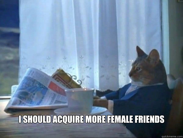  I should acquire more female friends -  I should acquire more female friends  morning realization newspaper cat meme