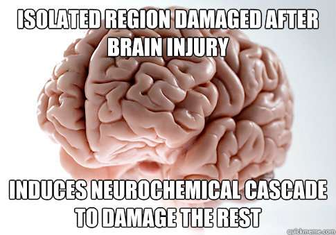 Isolated region damaged after brain injury Induces neurochemical cascade to damage the rest  Scumbag Brain