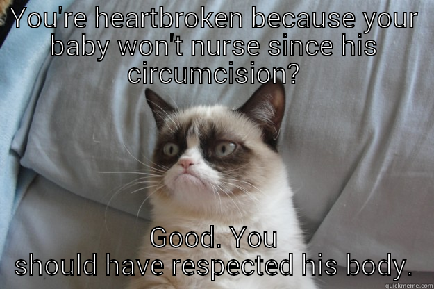 YOU'RE HEARTBROKEN BECAUSE YOUR BABY WON'T NURSE SINCE HIS CIRCUMCISION? GOOD. YOU SHOULD HAVE RESPECTED HIS BODY. Grumpy Cat