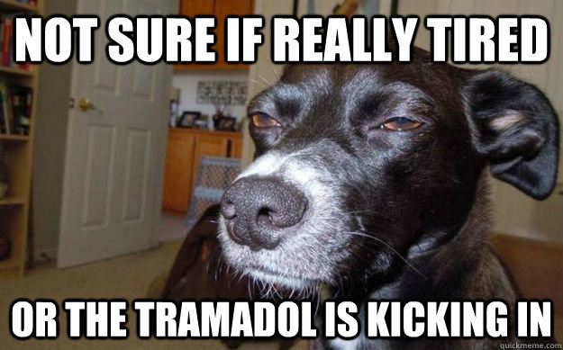 not sure if really tired or the tramadol is kicking in  Skeptical Mutt