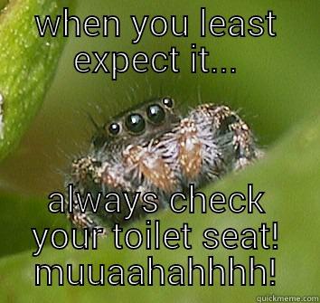 WHEN YOU LEAST EXPECT IT... ALWAYS CHECK YOUR TOILET SEAT! MUUAAHAHHHH! Misunderstood Spider