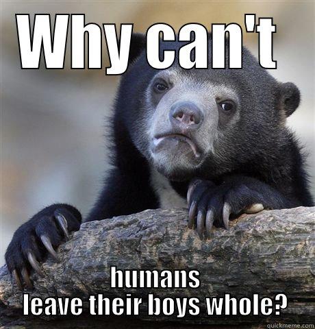 WHY CAN'T  HUMANS LEAVE THEIR BOYS WHOLE? Confession Bear