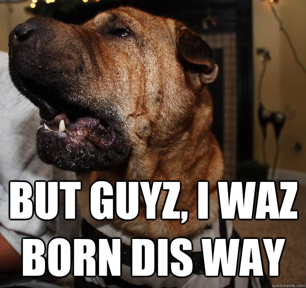  But guyz, i waz born dis way -  But guyz, i waz born dis way  Born This Way Shar Pei