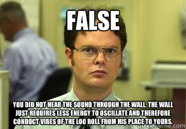 FALSE You did not hear the sound through the wall. The wall just requires less energy to oscillate and therefore conduct vibes of the loo roll from his place to yours.  Dwight False