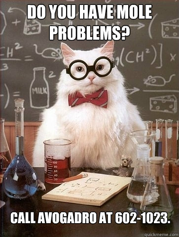 Do you have mole problems? Call Avogadro at 602-1023.  Chemistry Cat