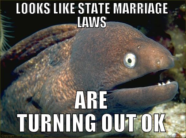 LOOKS LIKE STATE MARRIAGE LAWS ARE TURNING OUT OK Bad Joke Eel