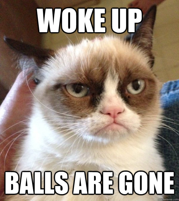 Woke up Balls are gone - Woke up Balls are gone  Grumpy Cat