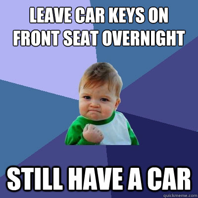 Leave car keys on front seat overnight still have a car  Success Kid