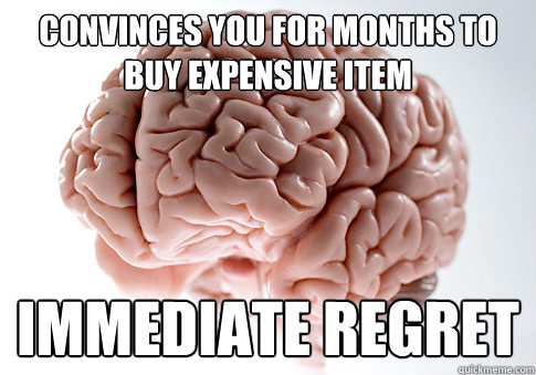 Convinces you for months to buy expensive item immediate regret   Scumbag Brain