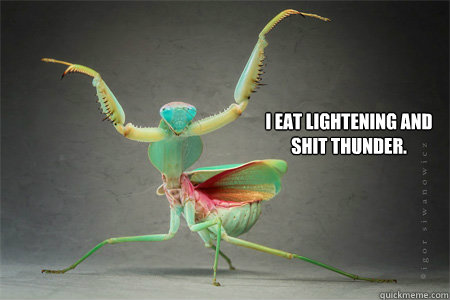 I eat lightening and shit thunder. - I eat lightening and shit thunder.  Fabulous Mantis