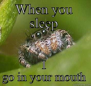 WHEN YOU SLEEP I GO IN YOUR MOUTH Misunderstood Spider