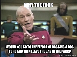 why the fuck would you go to the effort of bagging a dog turd and then leave the bag in the park?  Annoyed Picard