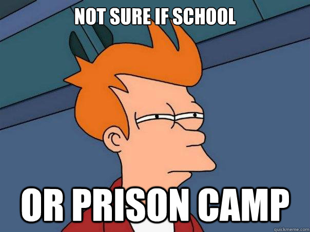 Not sure if school Or prison camp  Futurama Fry