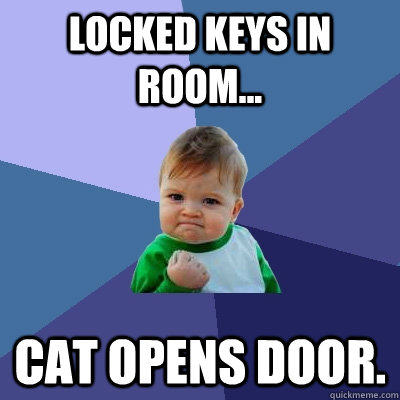 Locked keys in room... Cat opens door.  - Locked keys in room... Cat opens door.   Success Kid