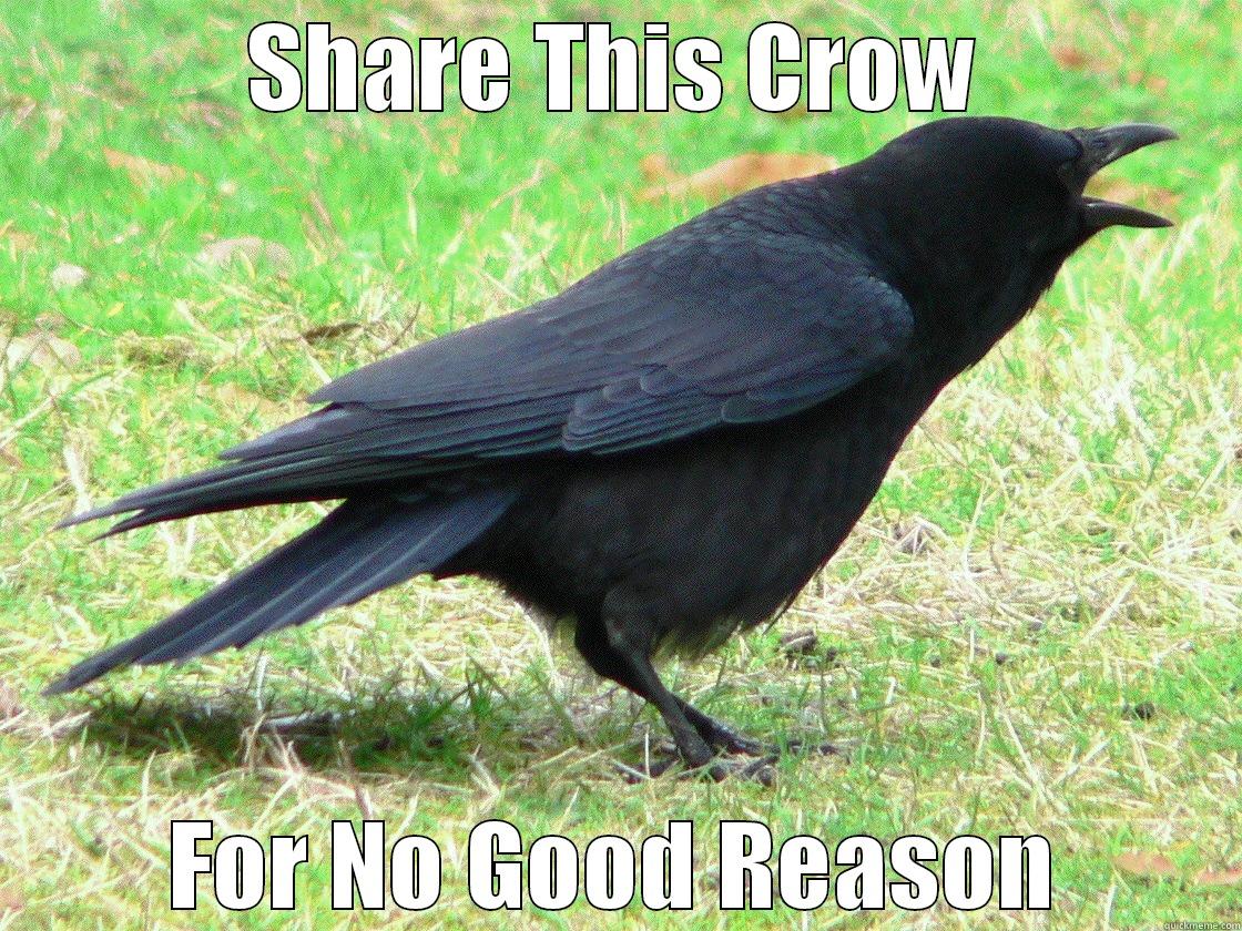 SHARE THIS CROW FOR NO GOOD REASON Misc