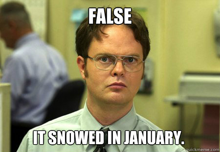 False It snowed in January.  Dwight