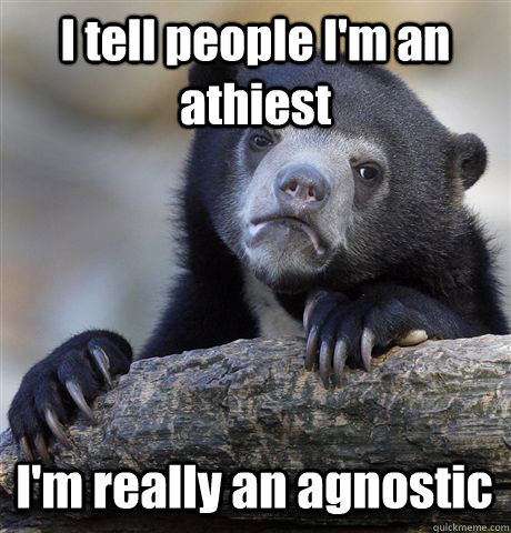 I tell people I'm an athiest I'm really an agnostic  Confession Bear