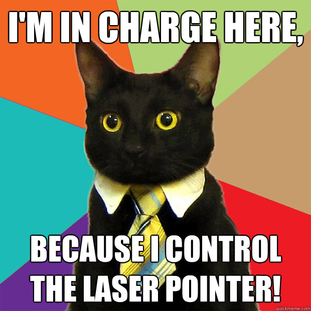 I'm in charge here, because I control the laser pointer!  Business Cat